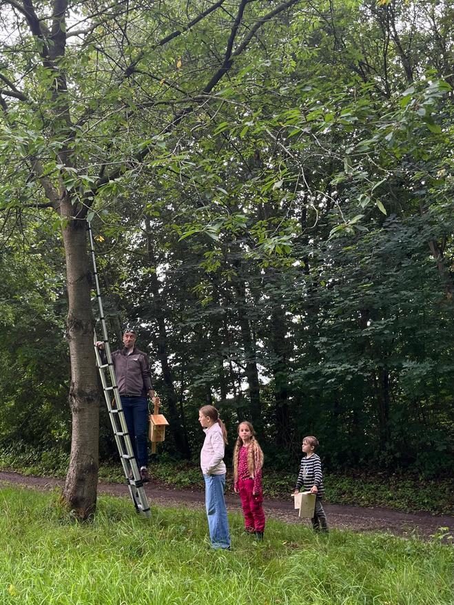 Ferienpassaktion Nistkästchen